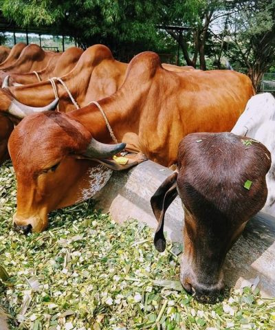 3ebc61eee2904caa1210705f54b7523a