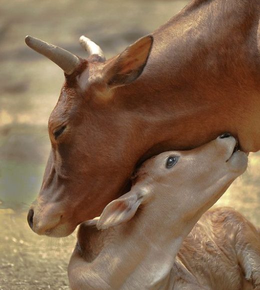 8360f1470e8ade1c233d3f9959dbedc3