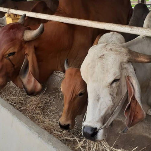 Untitled design (14)