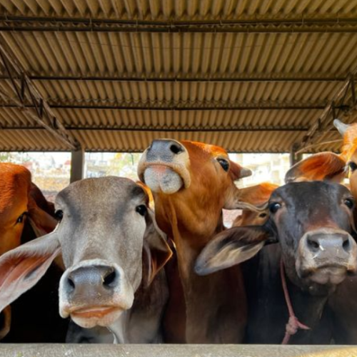 Untitled design (15)