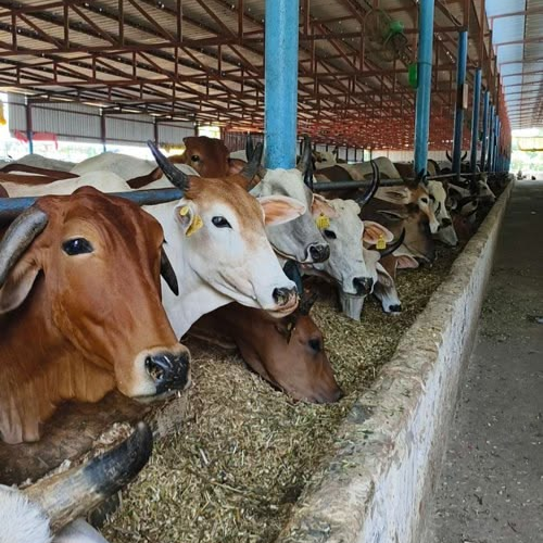 Untitled design (16)