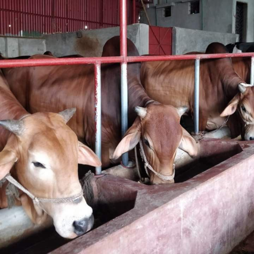 Untitled design (18)